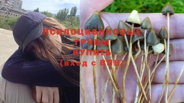 дурь Белоозёрский