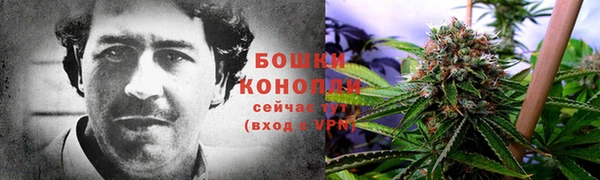 стаф Беломорск