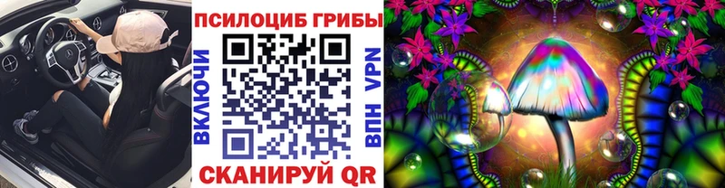 наркота  Вуктыл  Псилоцибиновые грибы Magic Shrooms 